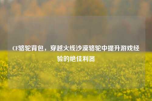 CF骆驼背包，穿越火线沙漠骆驼中提升游戏经验的绝佳利器