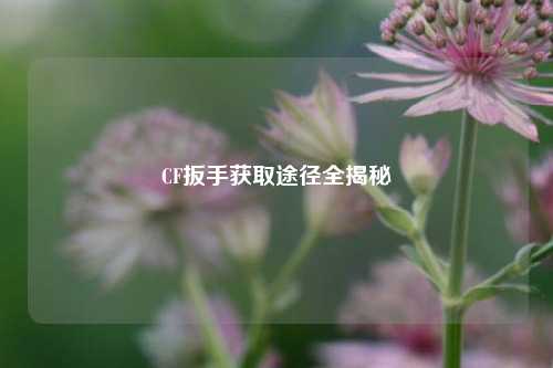 CF扳手获取途径全揭秘