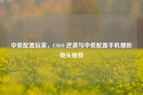 中低配置玩家,CSGO 逆袭与中低配置手机增距镜头推荐