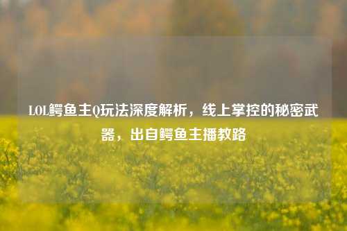 LOL鳄鱼主Q玩法深度解析,线上掌控的秘密武器,出自鳄鱼主播教路