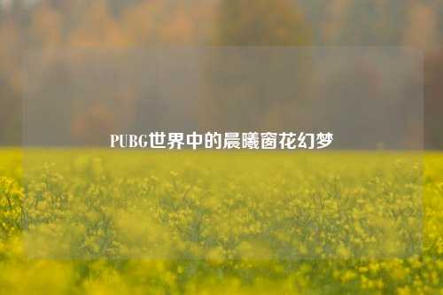 PUBG世界中的晨曦窗花幻梦