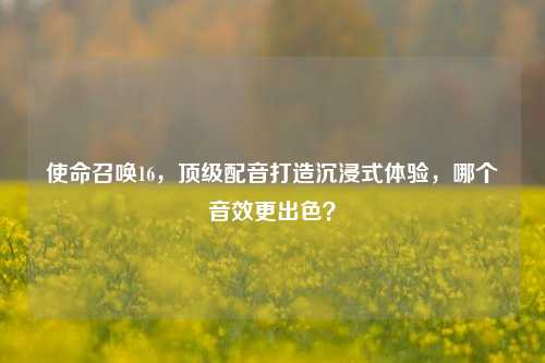 使命召唤16，顶级配音打造沉浸式体验，哪个音效更出色？