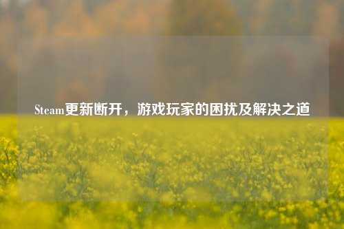 Steam更新断开，游戏玩家的困扰及解决之道
