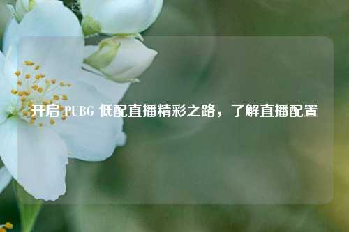 开启 PUBG 低配直播精彩之路,了解直播配置