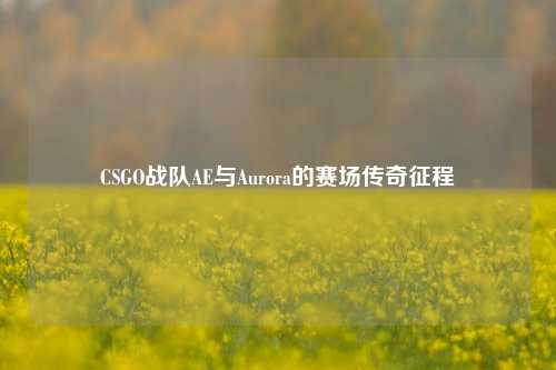 CSGO战队AE与Aurora的赛场传奇征程