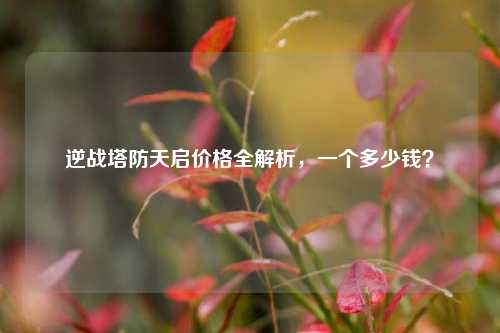 逆战塔防天启价格全解析,一个多少钱?