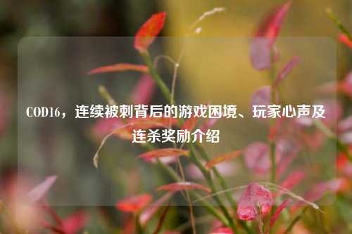 COD16,连续被刺背后的游戏困境、玩家心声及连杀奖励介绍