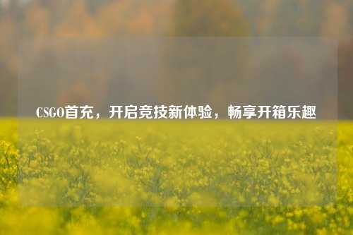 CSGO首充,开启竞技新体验,畅享开箱乐趣