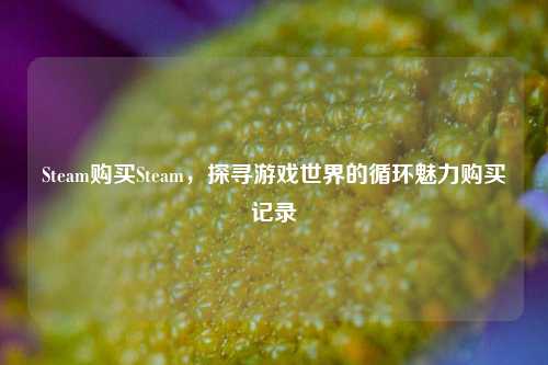 Steam购买Steam，探寻游戏世界的循环魅力购买记录