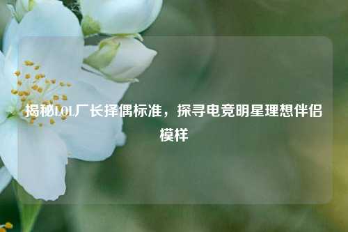 揭秘LOL厂长择偶标准,探寻电竞明星理想伴侣模样