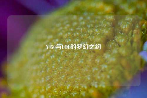Y450与LOL的梦幻之约