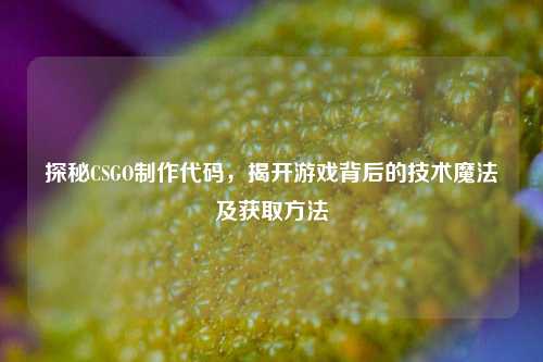 探秘CSGO制作代码，揭开游戏背后的技术魔法及获取方法