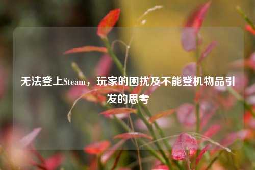 无法登上Steam,玩家的困扰及不能登机物品引发的思考