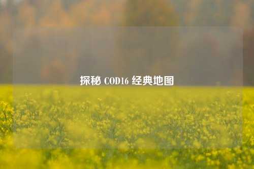 探秘 COD16 经典地图