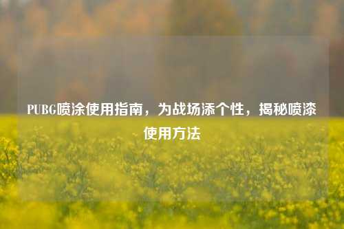 PUBG喷涂使用指南，为战场添个性，揭秘喷漆使用方法