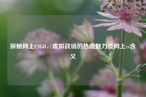 探秘网上CSGO，虚拟战场的热血魅力及网上cs含义