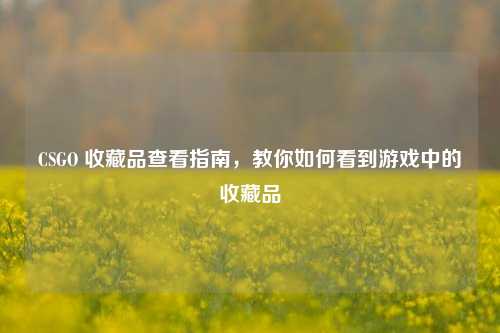 CSGO 收藏品查看指南，教你如何看到游戏中的收藏品