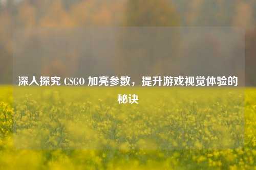 深入探究 CSGO 加亮参数，提升游戏视觉体验的秘诀