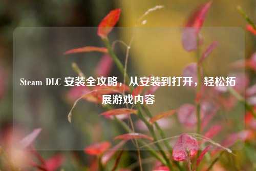 Steam DLC 安装全攻略,从安装到打开,轻松拓展游戏内容
