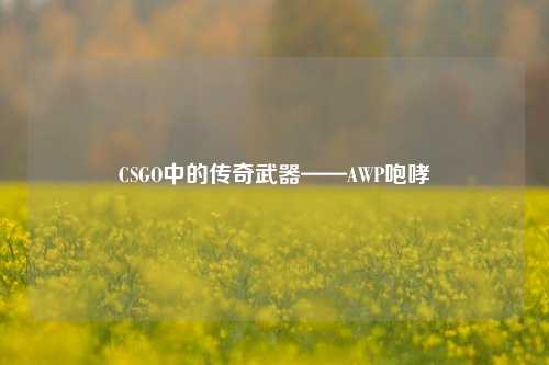 CSGO中的传奇武器——AWP咆哮