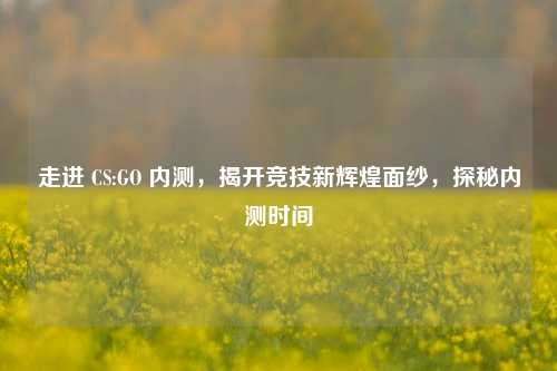 走进 CS:GO 内测,揭开竞技新辉煌面纱,探秘内测时间