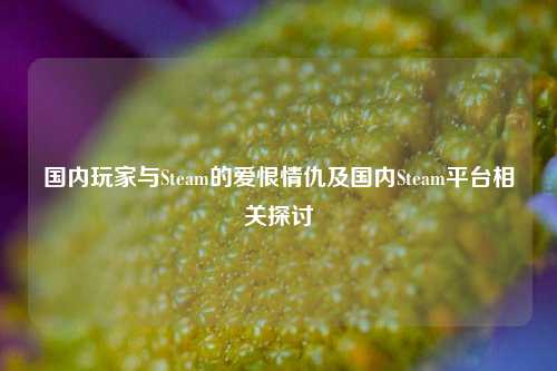 国内玩家与Steam的爱恨情仇及国内Steam平台相关探讨