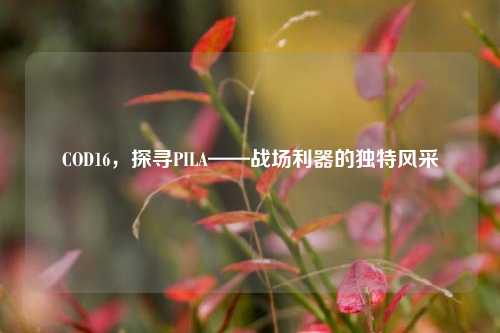 COD16,探寻PILA——战场利器的独特风采