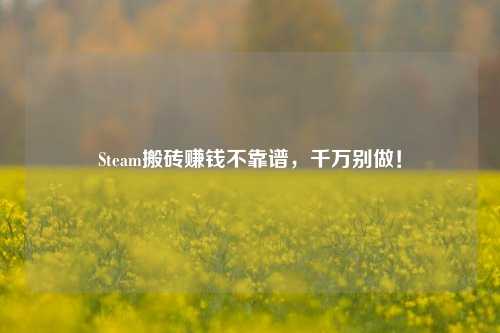 Steam搬砖赚钱不靠谱,千万别做!