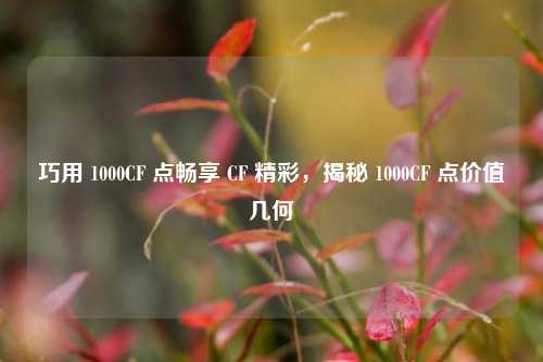 巧用 1000CF 点畅享 CF 精彩，揭秘 1000CF 点价值几何