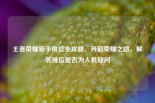 王者荣耀新手排位全攻略,开启荣耀之路,解答排位是否为人机疑问