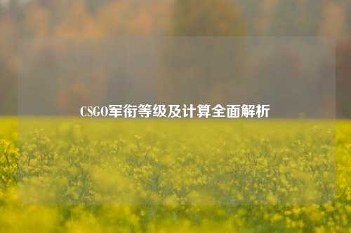 CSGO军衔等级及计算全面解析