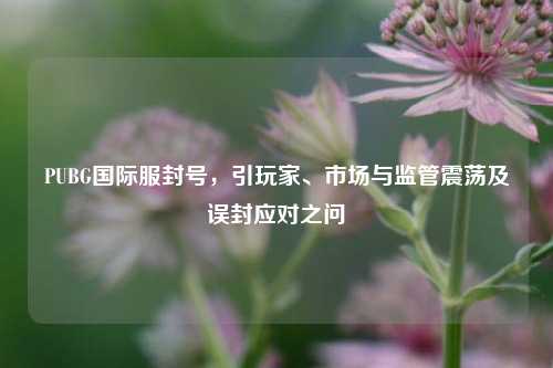 PUBG国际服封号,引玩家、市场与监管震荡及误封应对之问