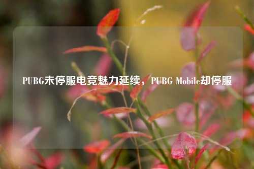 PUBG未停服电竞魅力延续,PUBG Mobile却停服