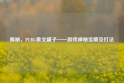 揭秘，PUBG泰戈罐子——游戏神秘宝藏及打法