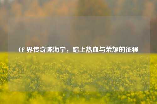 CF 界传奇陈海宁,踏上热血与荣耀的征程