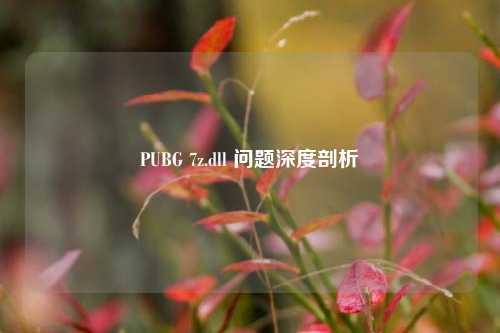 PUBG 7z.dll 问题深度剖析