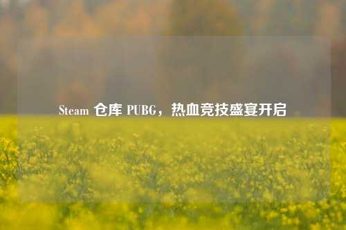 Steam 仓库 PUBG，热血竞技盛宴开启