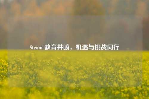 Steam 教育井喷,机遇与挑战同行