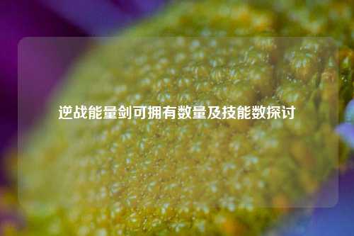 逆战能量剑可拥有数量及技能数探讨