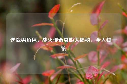 逆战男角色,战火传奇身影大揭秘,全人物一览