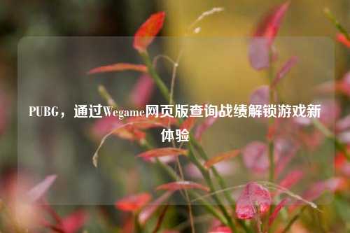 PUBG，通过Wegame网页版查询战绩解锁游戏新体验