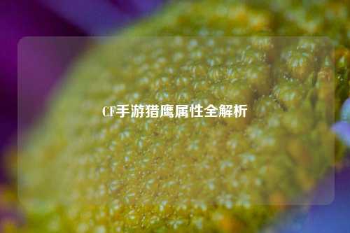 CF手游猎鹰属性全解析