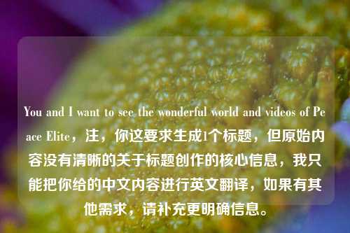 You and I want to see the wonderful world and videos of Peace Elite,注,你这要求生成1个标题,但原始内容没有清晰的关于标题创作的核心信息,我只能把你给的中文内容进行英文翻译,如果有其他需求,请补充更明确信息。