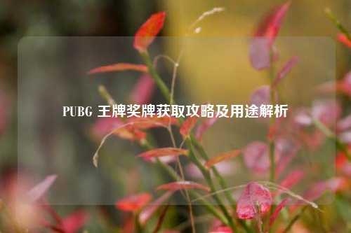 PUBG 王牌奖牌获取攻略及用途解析