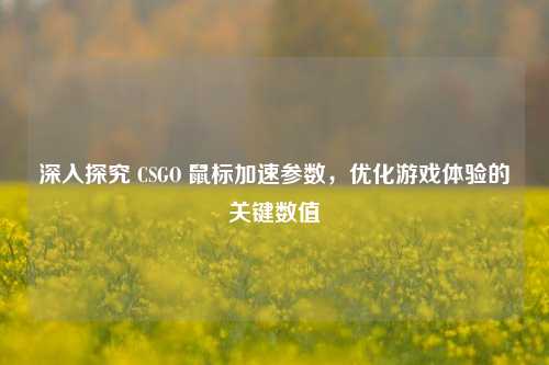 深入探究 CSGO 鼠标加速参数,优化游戏体验的关键数值