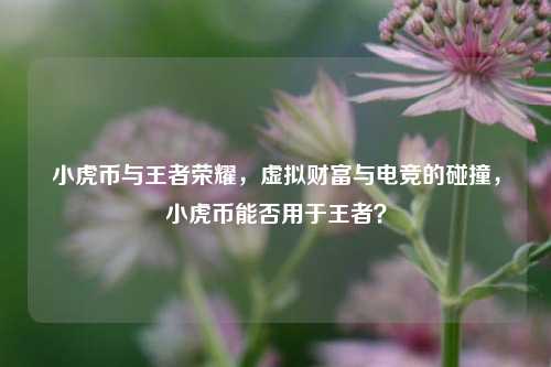 小虎币与王者荣耀，虚拟财富与电竞的碰撞，小虎币能否用于王者？
