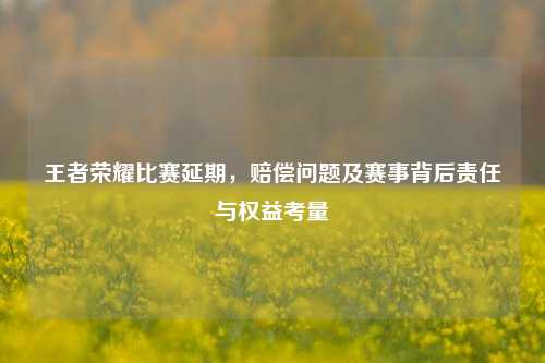 王者荣耀比赛延期,赔偿问题及赛事背后责任与权益考量