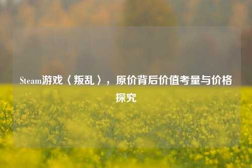 Steam游戏〈叛乱〉,原价背后价值考量与价格探究