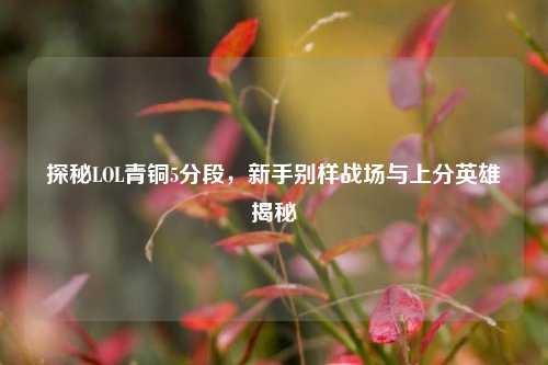探秘LOL青铜5分段，新手别样战场与上分英雄揭秘