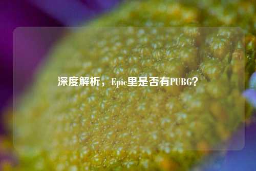 深度解析，Epic里是否有PUBG？